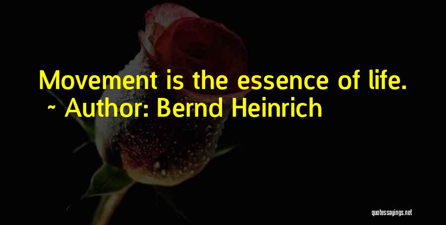 Bernd Heinrich Quotes 1209989