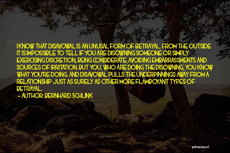 Bernhard Schlink Quotes 679901