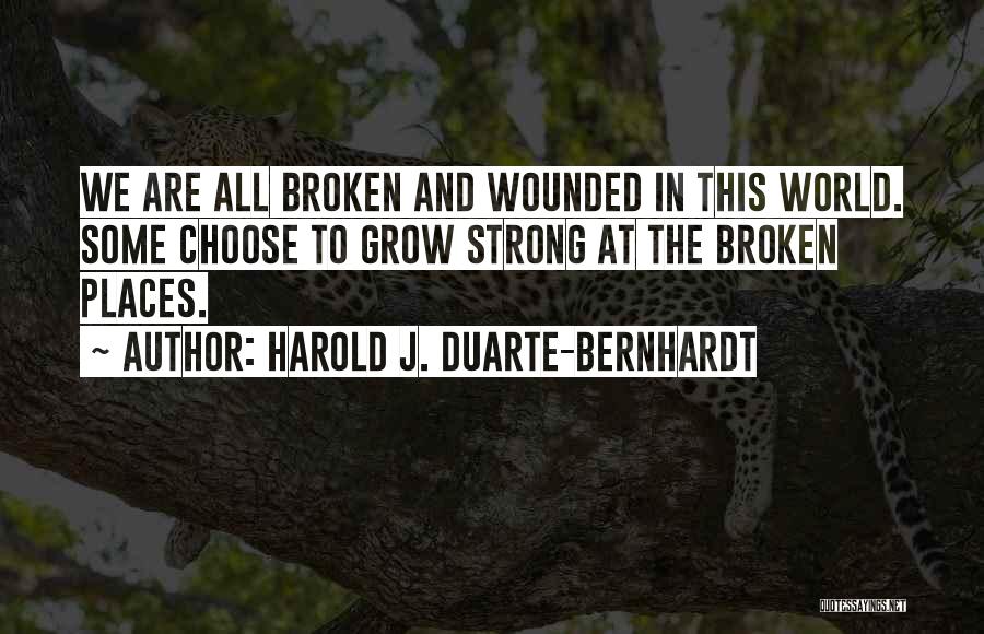 Bernhardt Quotes By Harold J. Duarte-Bernhardt