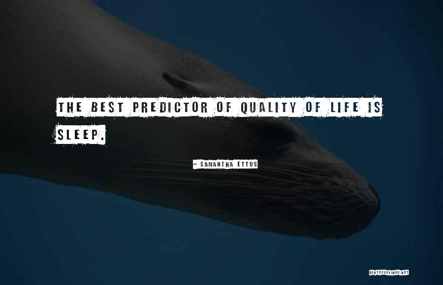 Bernhardts Meat Quotes By Samantha Ettus Bernhardts Meat Quotes By Samantha Ettus
