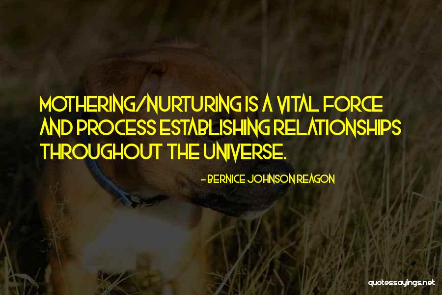 Bernice Johnson Reagon Quotes 2126268 Bernice Johnson Reagon Quotes 2126268