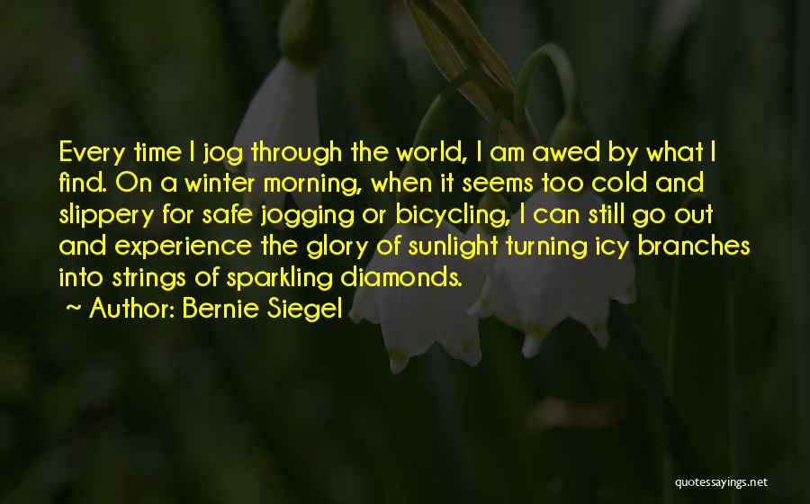 Bernie Siegel Quotes 1015244