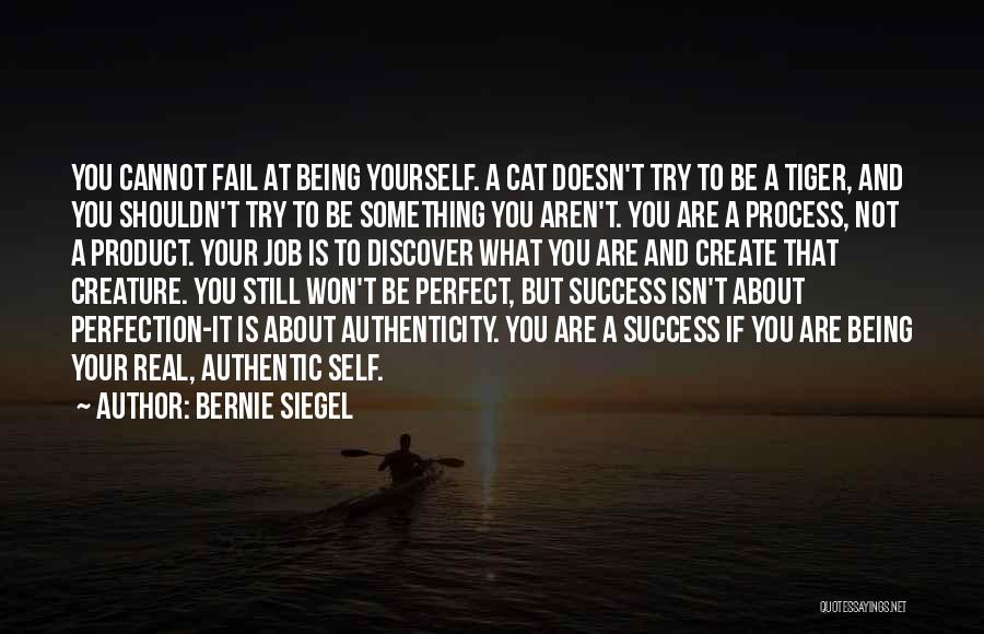 Bernie Siegel Quotes 608545