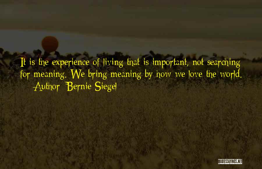 Bernie Siegel Quotes 819076