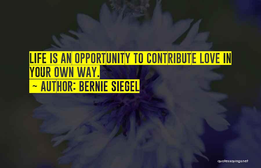 Bernie Siegel Quotes 833268