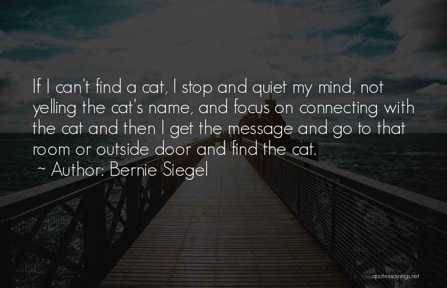 Bernie Siegel Quotes 840493