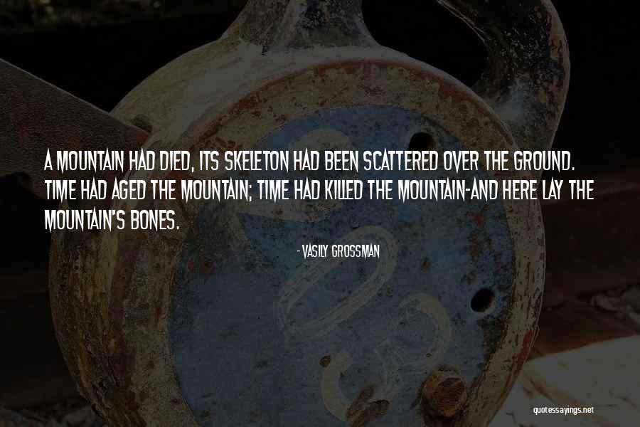 Bernuth Consulting Quotes By Vasily Grossman Bernuth Consulting Quotes By Vasily Grossman