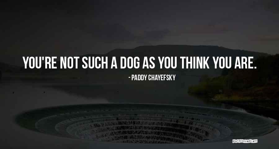 Beroemde Vlaamse Quotes By Paddy Chayefsky Beroemde Vlaamse Quotes By Paddy Chayefsky