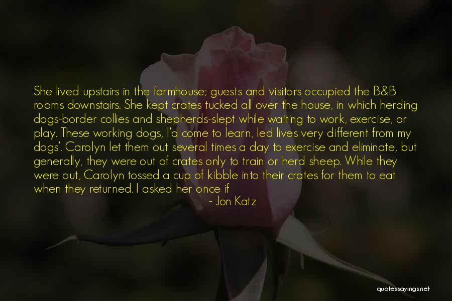 Berried Quotes By Jon Katz Berried Quotes By Jon Katz