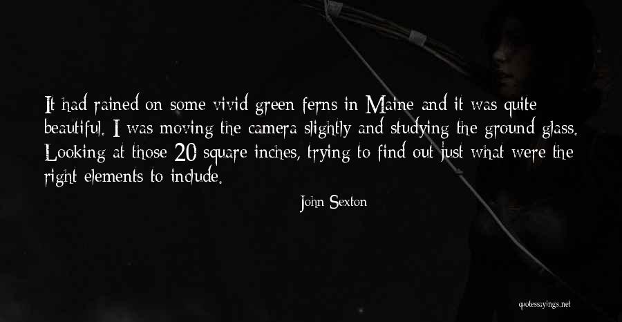 Berseru Seru Quotes By John Sexton Berseru Seru Quotes By John Sexton