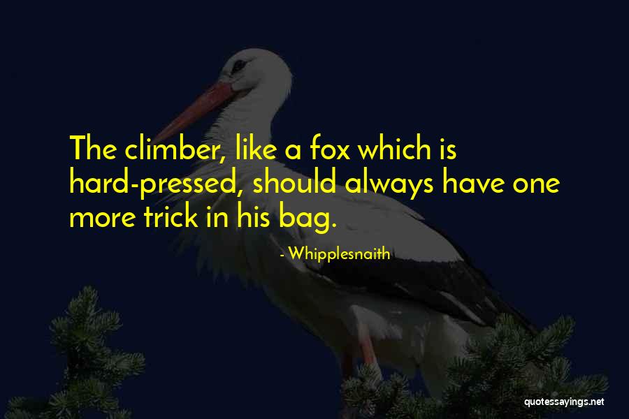 Bershad Foundation Quotes By Whipplesnaith Bershad Foundation Quotes By Whipplesnaith