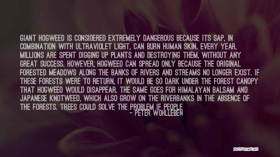 Bershka Leatherback Quotes By Peter Wohlleben Bershka Leatherback Quotes By Peter Wohlleben