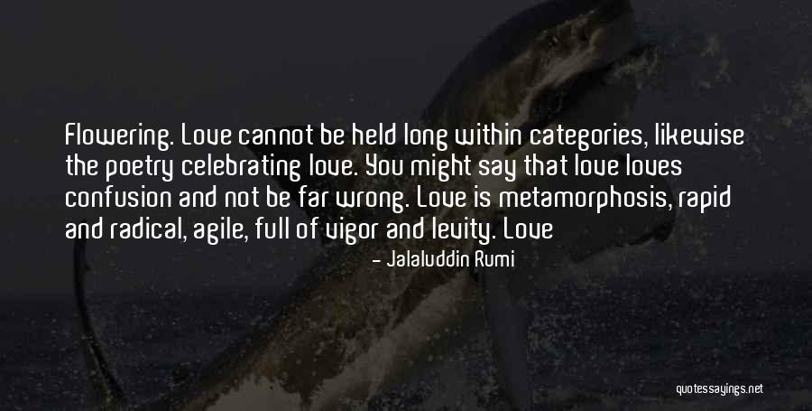 Bersticker Scott Quotes By Jalaluddin Rumi Bersticker Scott Quotes By Jalaluddin Rumi