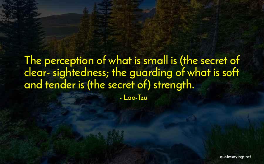 Bersungguh Quotes By Lao-Tzu Bersungguh Quotes By Lao-Tzu
