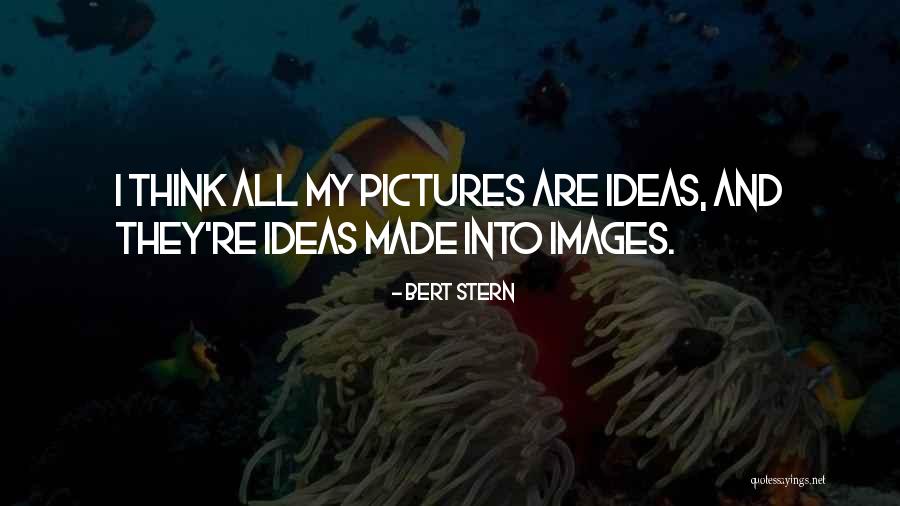 Bert Stern Quotes 1158919