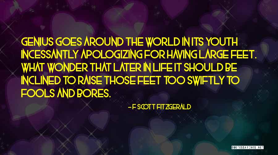 Bertellis Skate Quotes By F Scott Fitzgerald