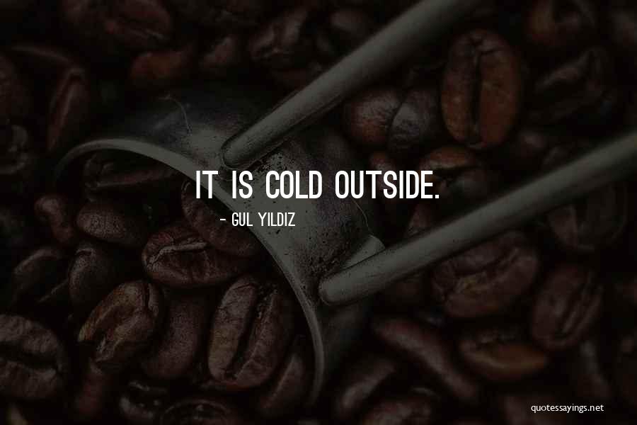 Berthier Quotes By Gul Yildiz Berthier Quotes By Gul Yildiz