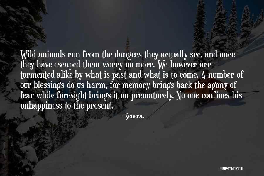 Bertil Hult Quotes By Seneca. Bertil Hult Quotes By Seneca.