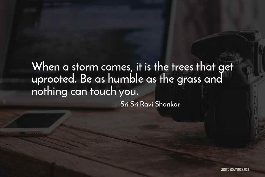 Bertis Bevis Quotes By Sri Sri Ravi Shankar Bertis Bevis Quotes By Sri Sri Ravi Shankar