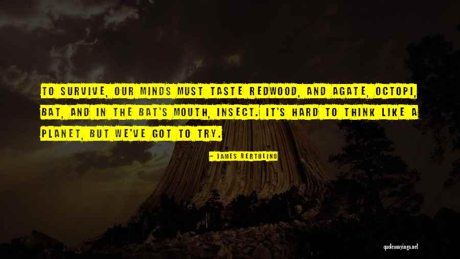 Bertolino Quotes By James Bertolino Bertolino Quotes By James Bertolino