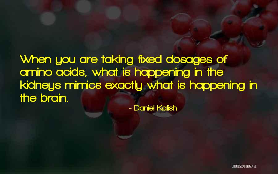 Bertolotto Flea Quotes By Daniel Kalish Bertolotto Flea Quotes By Daniel Kalish