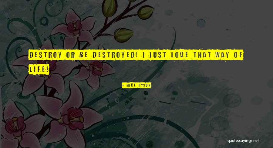 Bertolucci Management Quotes By Mike Tyson Bertolucci Management Quotes By Mike Tyson