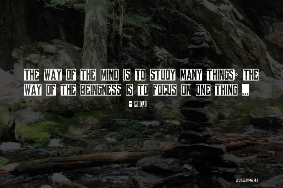 Bertoncini Resistencia Quotes By Mooji Bertoncini Resistencia Quotes By Mooji