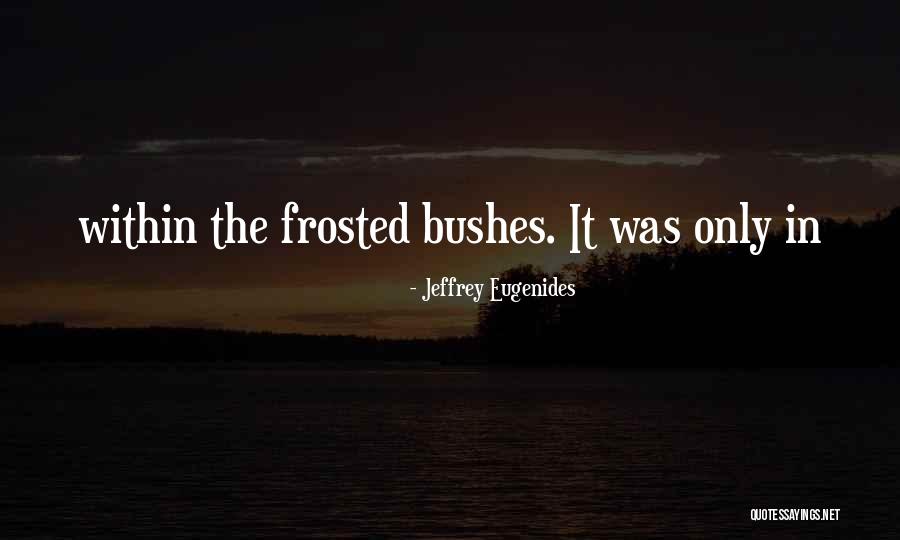Bertos Cuisine Quotes By Jeffrey Eugenides Bertos Cuisine Quotes By Jeffrey Eugenides