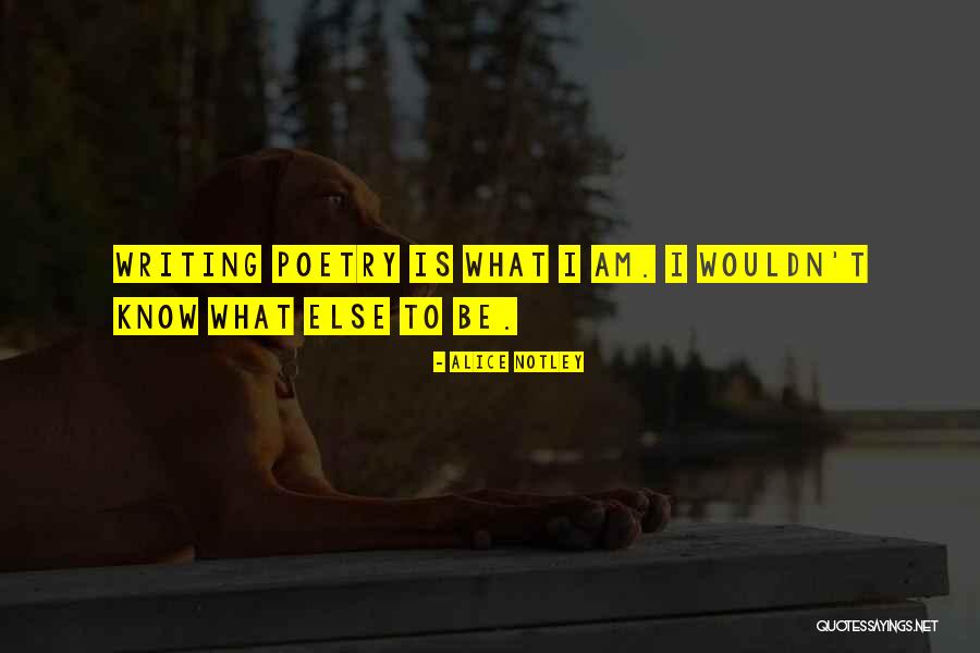 Bertrandetmassumi Quotes By Alice Notley Bertrandetmassumi Quotes By Alice Notley