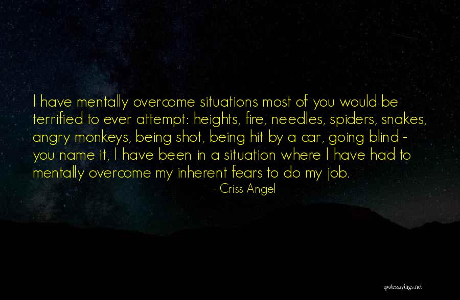 Bertrands Restaurant Quotes By Criss Angel Bertrands Restaurant Quotes By Criss Angel