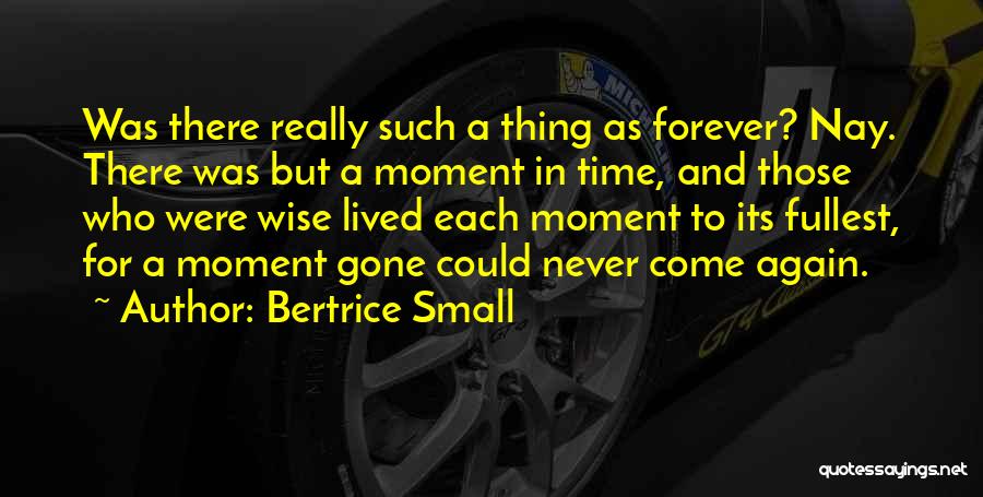 Bertrice Small Quotes 1059316