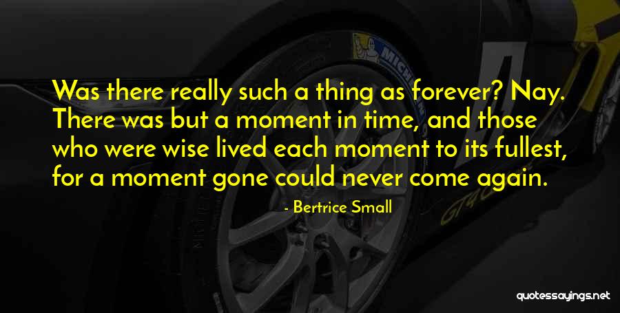 Bertrice Small Quotes 1059316 Bertrice Small Quotes 1059316