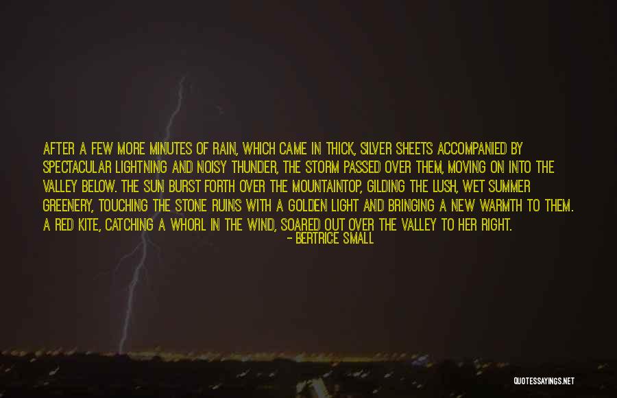 Bertrice Small Quotes 628386 Bertrice Small Quotes 628386