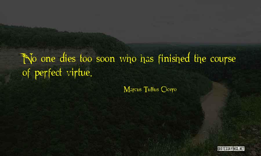 Bertuetti Mixer Quotes By Marcus Tullius Cicero Bertuetti Mixer Quotes By Marcus Tullius Cicero