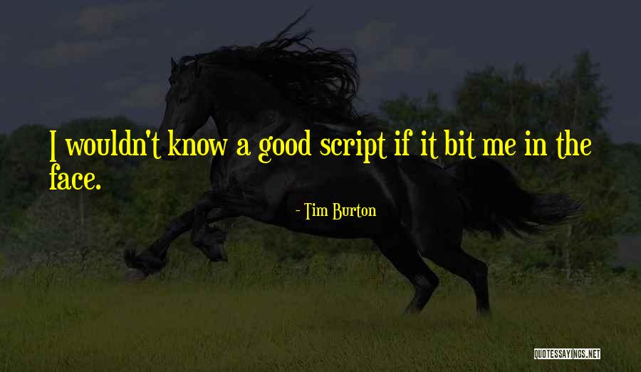 Bertyland Quotes By Tim Burton