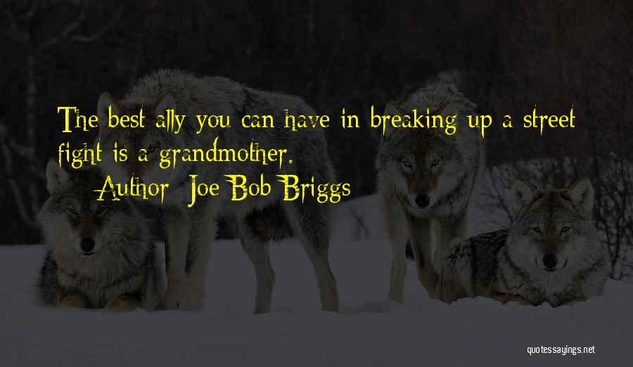 Berumen Origin Quotes By Joe Bob Briggs