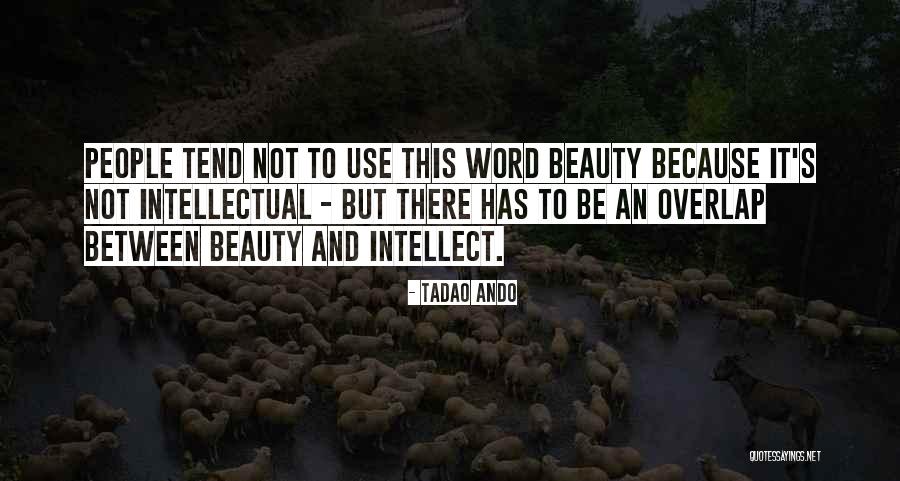 Berwanger Overmyer Quotes By Tadao Ando Berwanger Overmyer Quotes By Tadao Ando