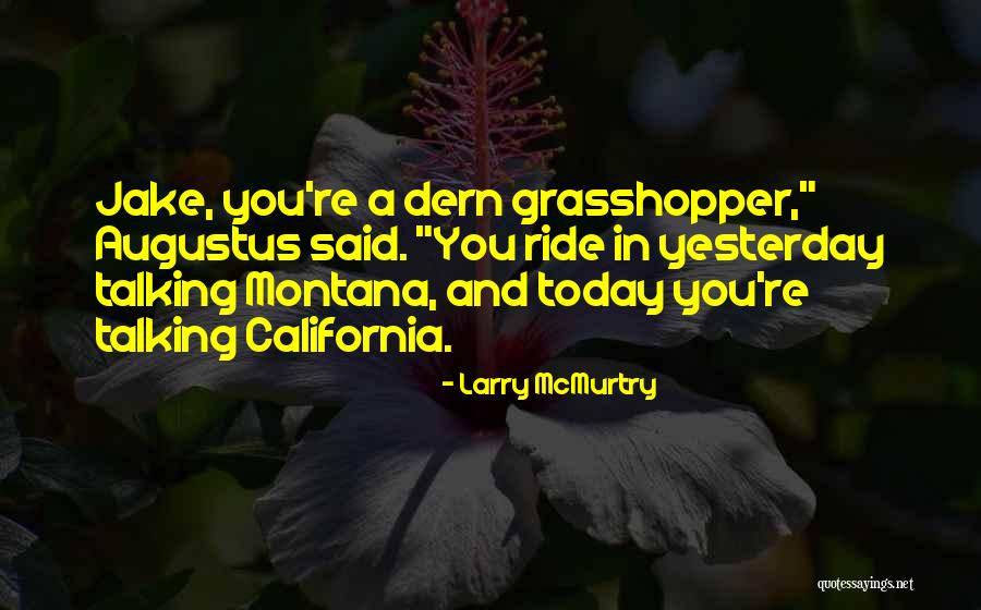 Berxholla Quotes By Larry McMurtry Berxholla Quotes By Larry McMurtry