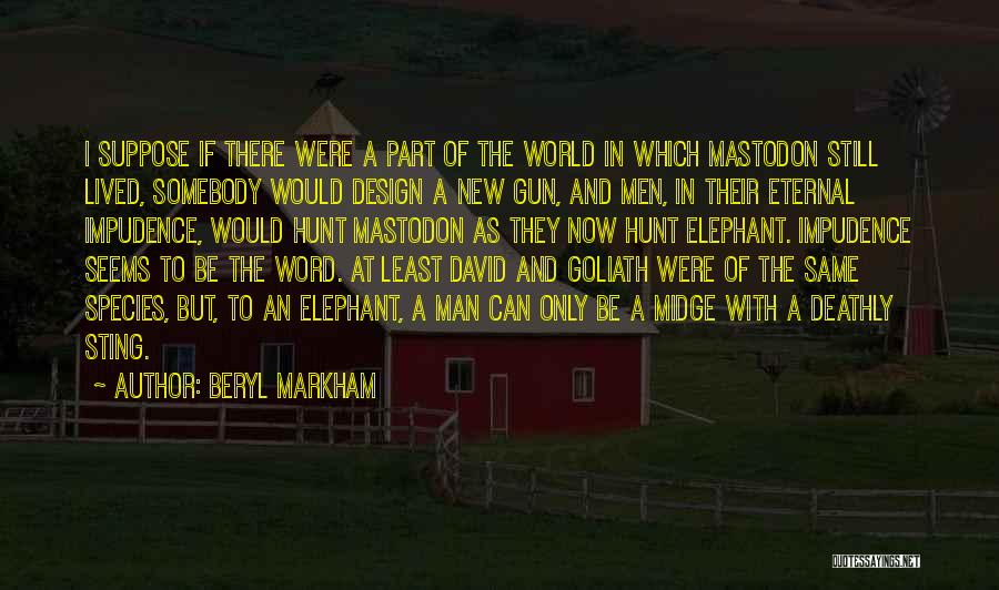 Beryl Markham Quotes 1284193