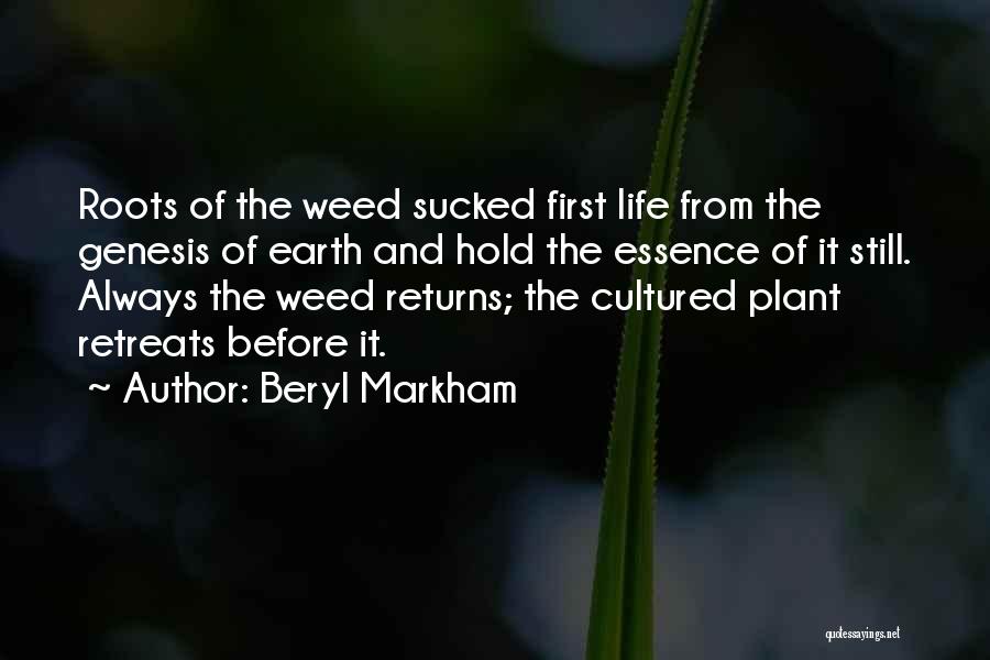 Beryl Markham Quotes 791658