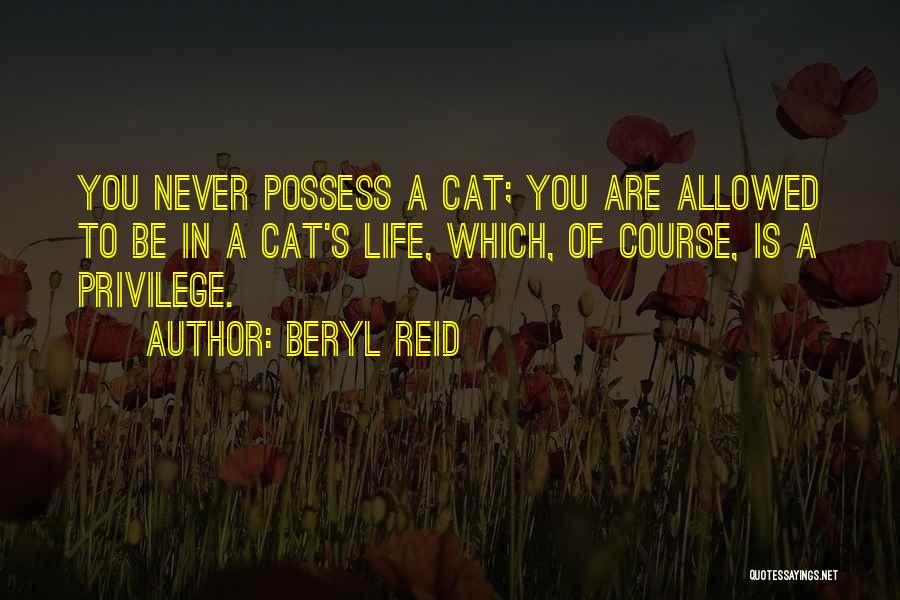 Beryl Reid Quotes 494820