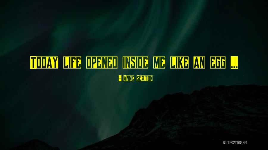 Beryls Dark Quotes By Anne Sexton Beryls Dark Quotes By Anne Sexton