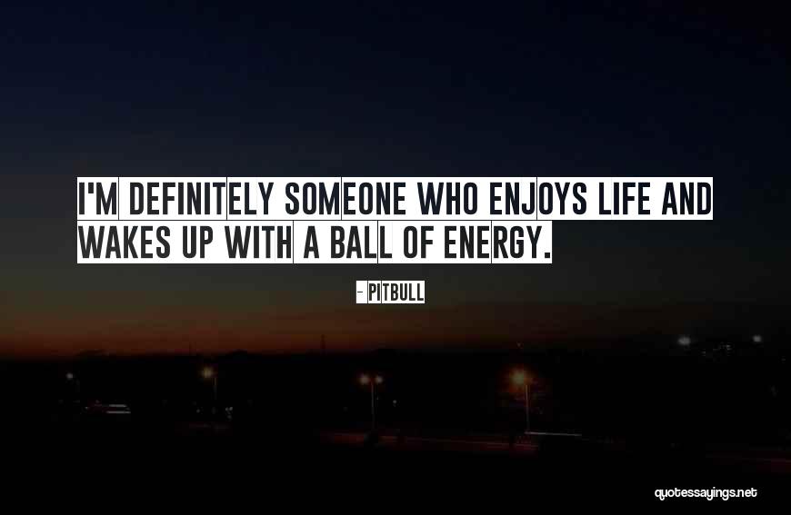 Besanilla Quotes By Pitbull Besanilla Quotes By Pitbull