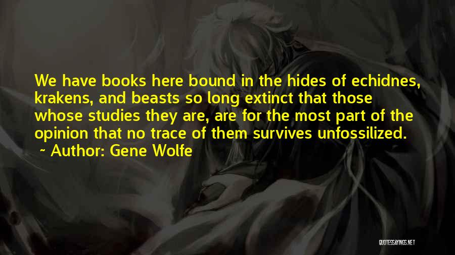 Beschavingsziekte Quotes By Gene Wolfe