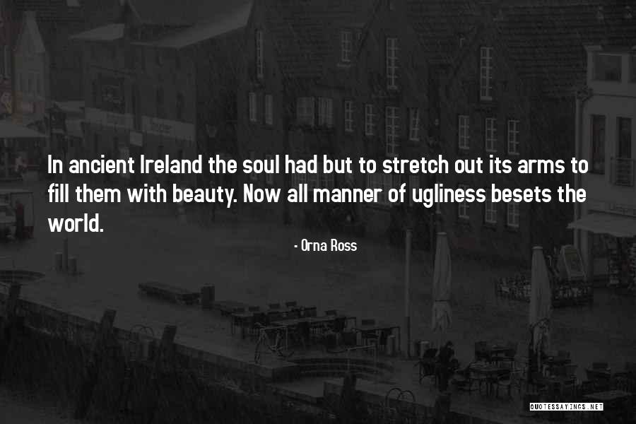 Besets Quotes By Orna Ross
