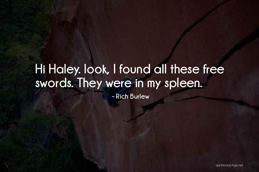 Besetzt Translate Quotes By Rich Burlew Besetzt Translate Quotes By Rich Burlew