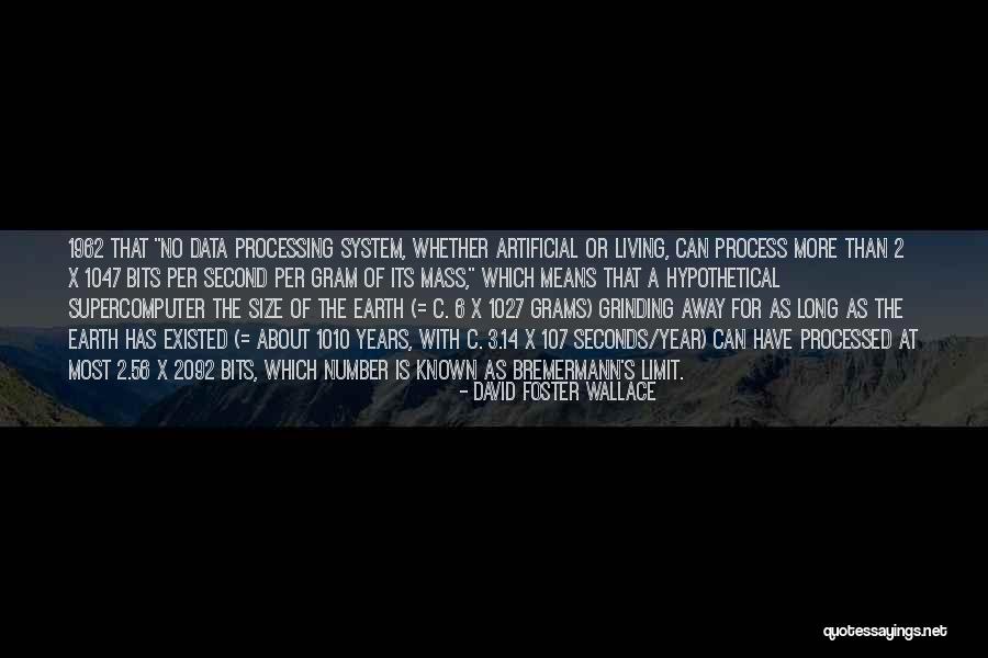 Besiana Baby Quotes By David Foster Wallace Besiana Baby Quotes By David Foster Wallace