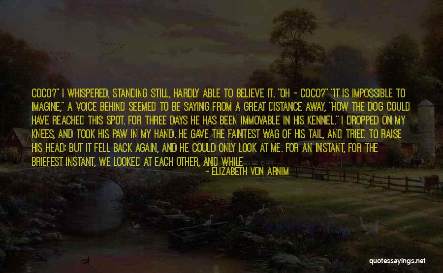 Beside Each Other Quotes By Elizabeth Von Arnim