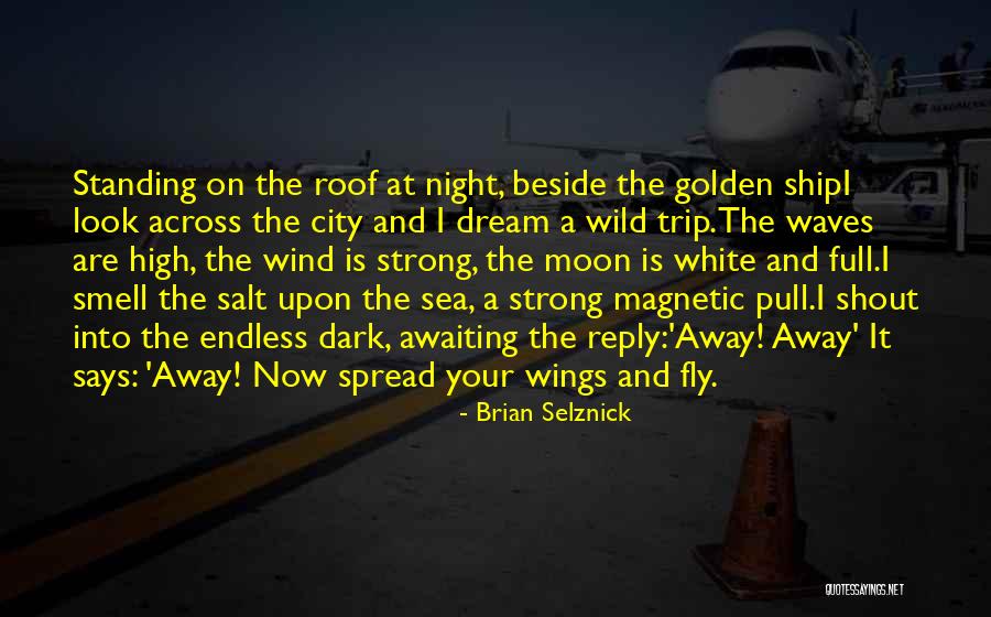 Beside The Sea Quotes By Brian Selznick Beside The Sea Quotes By Brian Selznick