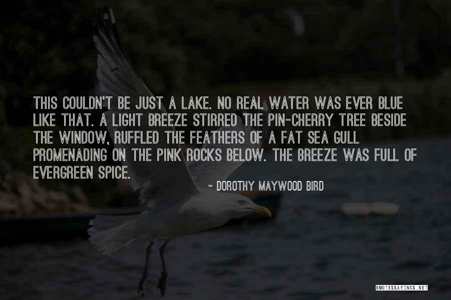 Beside The Sea Quotes By Dorothy Maywood Bird